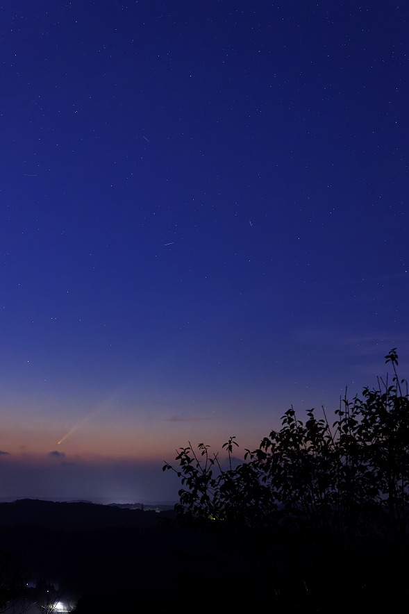 紫金山・アトラス彗星