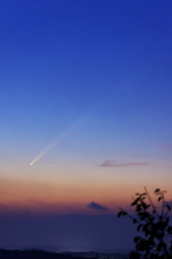 紫金山・アトラス彗星