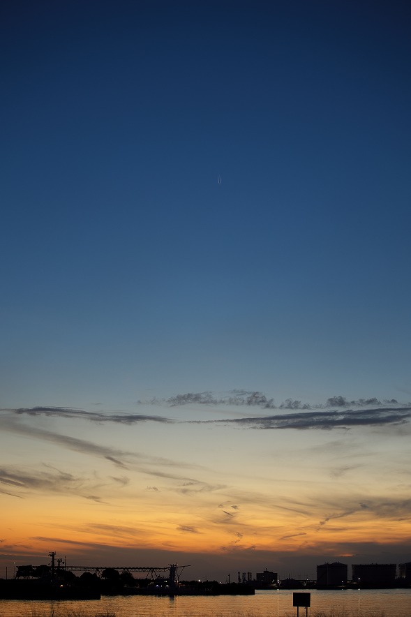 紫金山・アトラス彗星