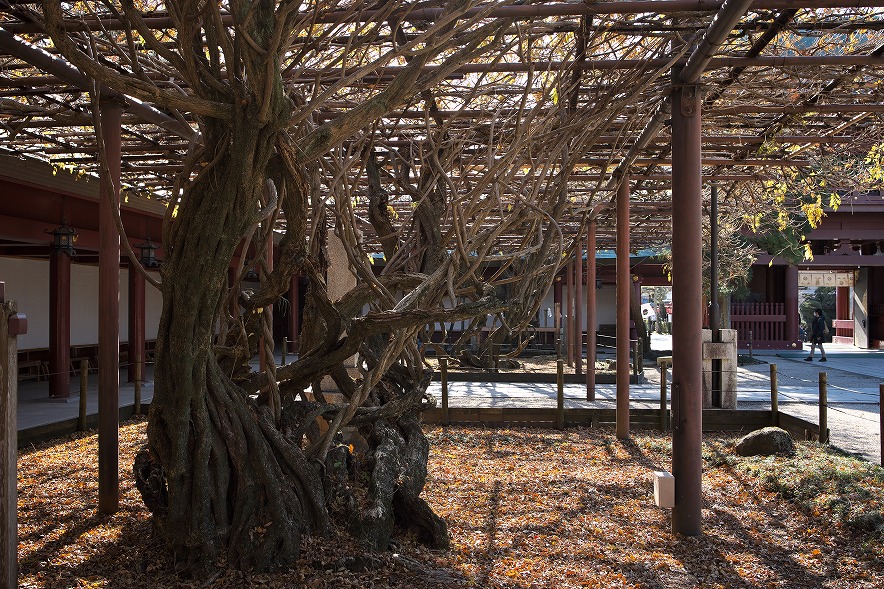 笠間稲荷神社