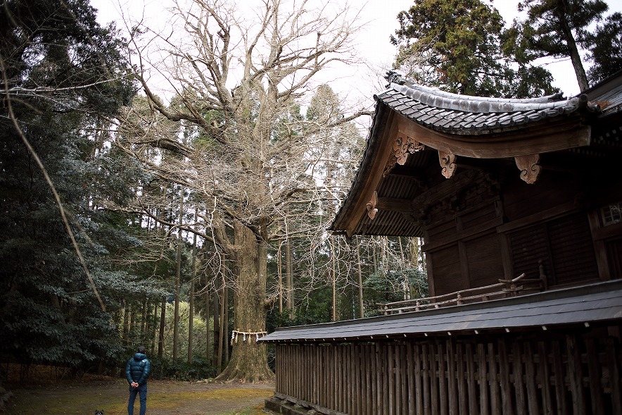 国吉神社