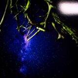 写真用のプリンターがぶっ壊れた！？