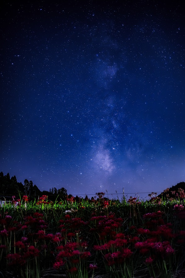 天の川と彼岸花