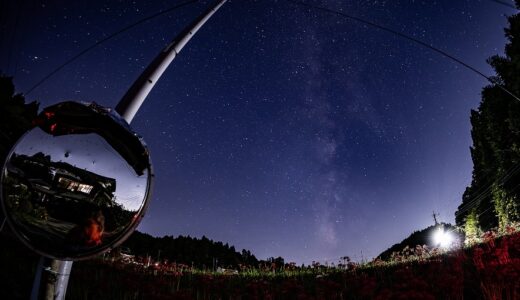 星と私と彼岸花