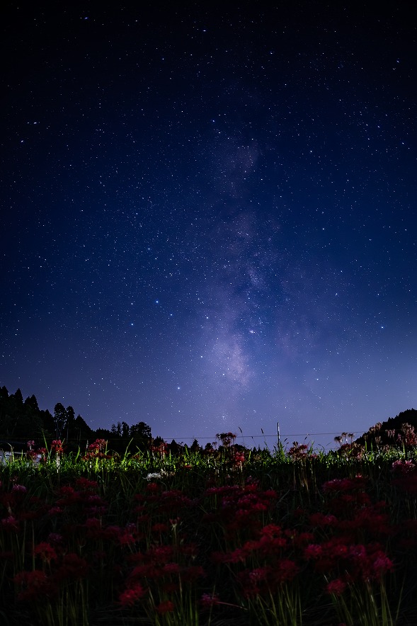 天の川と彼岸花