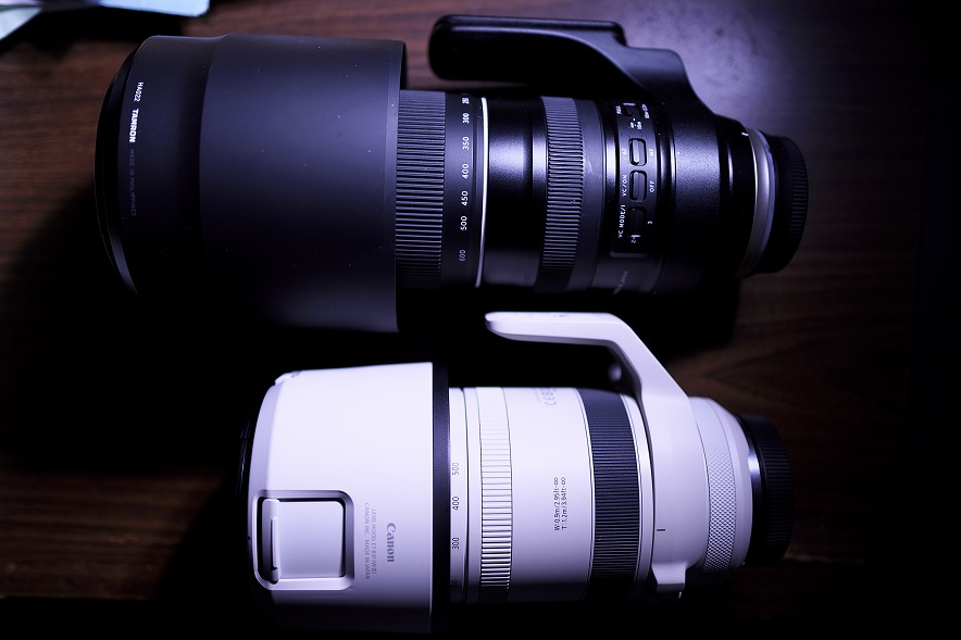 RF100-500mm F4.5-7.1 L IS USM