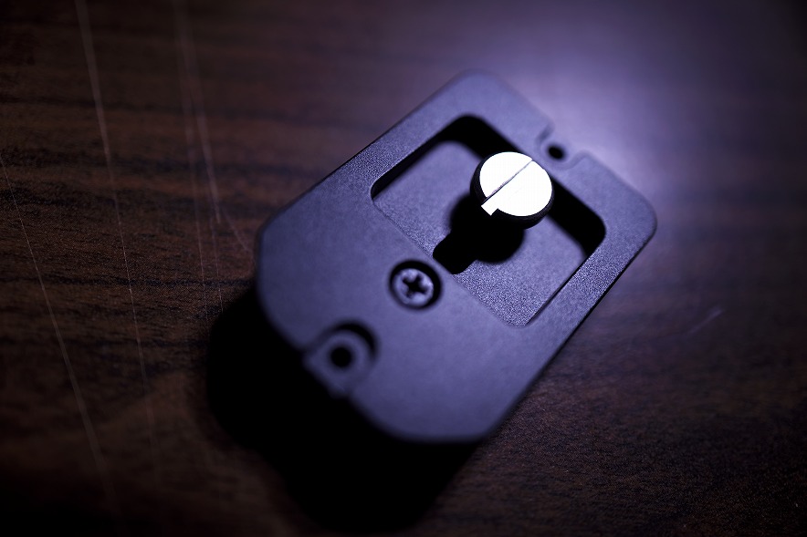 RF100-500mm F4.5-7.1 L IS USM