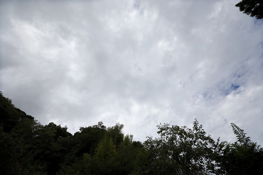 RF16-28mm F2.8 IS STM