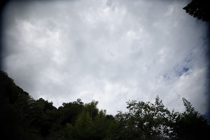 RF16-28mm F2.8 IS STM