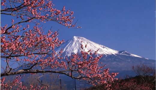 長南フォトクラブ写真展行います