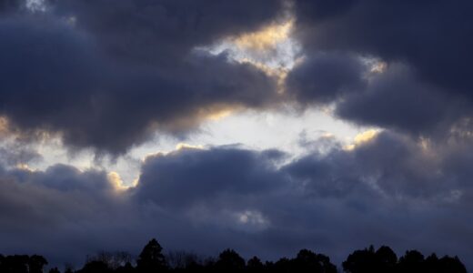 明けまして、はっはっはま寿司！！