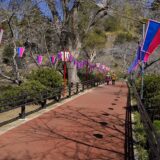 フォトクラブ2022さん写真展と、もうすぐ桜が咲きそうな茂原公園