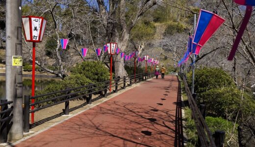 フォトクラブ2022さん写真展と、もうすぐ桜が咲きそうな茂原公園